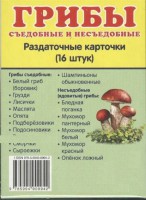 Раздаточные карточки "Грибы съедобные и не съедобные" - fgospostavki.ru - Ялуторовск
