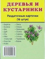 Раздаточные карточки "Деревья и кустарники" - fgospostavki.ru - Ялуторовск