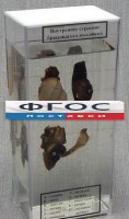 Влажный препарат "Внутреннее строение брюхоногого моллюска" - fgospostavki.ru - Ялуторовск