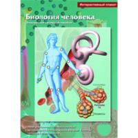 Интерактивные плакаты. Биология человека. Программно-методический комплекс - fgospostavki.ru - Ялуторовск