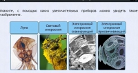 Интерактивные курсы. Биология 5 класс. Расширенный - fgospostavki.ru - Ялуторовск