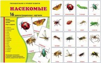 Демонстрационные карточки "Насекомые" - fgospostavki.ru - Ялуторовск
