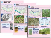 Комплект таблиц по географии "Природные зоны России" раздаточные (цветные, ламинированные, А4, 10 штук) - fgospostavki.ru - Ялуторовск