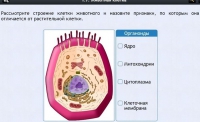 Интерактивные курсы. Биология 8 класс. Базовый - fgospostavki.ru - Ялуторовск