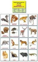 Раздаточные карточки "Дикие животные (2)" - fgospostavki.ru - Ялуторовск