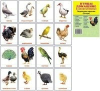 Раздаточные карточки "Птицы домашние и декоративные" - fgospostavki.ru - Ялуторовск