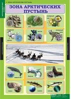 Комплект таблиц. Окружающий мир 4 класс. - fgospostavki.ru - Ялуторовск
