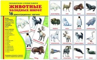 Демонстрационные карточки "Животные холодных широт" - fgospostavki.ru - Ялуторовск