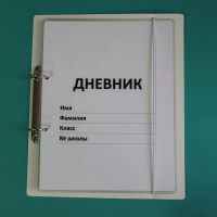 Дневник школьника (с полным набором карточек) - fgospostavki.ru - Ялуторовск