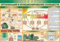 Таблица "Организация и функционирование сообществ" (100х140 сантиметров, винил) - fgospostavki.ru - Ялуторовск