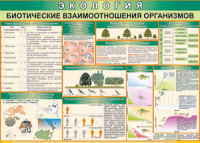 Таблица "Биотические взаимоотношения организмов" (100х140 сантиметров, винил) - fgospostavki.ru - Ялуторовск