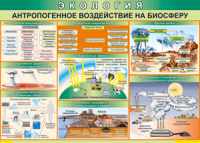 Таблица "Антропогенное воздействие на биосферу" (100х140 сантиметров, винил) - fgospostavki.ru - Ялуторовск