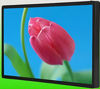 Киоск информационный настенный сенсорный 27" (вариант 1) - fgospostavki.ru - Ялуторовск