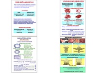 Плакаты ПРОФТЕХ "Классификации и виды мяса" (4 пл, винил, 70х100) - fgospostavki.ru - Ялуторовск