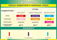 Таблица "Окраска индикаторов в различных средах" (100х140 сантиметров, винил) - fgospostavki.ru - Ялуторовск