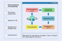 Интерактивные курсы. Информатика 10 класс . Базовый. - fgospostavki.ru - Ялуторовск