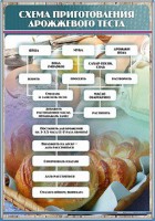 Стенд "Схема приготовления дрожжевого теста" - fgospostavki.ru - Ялуторовск