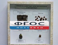 Коллекция энтомологическая "Примеры защитных приспособлений у насекомых" - fgospostavki.ru - Ялуторовск