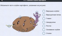 Интерактивные курсы. Биология 6 класс. Расширенный - fgospostavki.ru - Ялуторовск