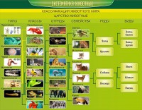 Стенд "Систематика животных" - fgospostavki.ru - Ялуторовск