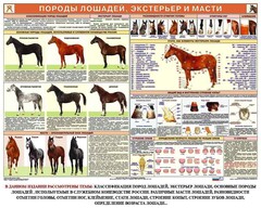 Комплект плакатов "Служебное коневодство" - fgospostavki.ru - Ялуторовск