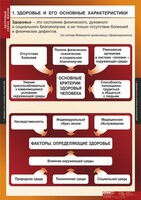 Комплект таблиц. ОБЖ. Здоровый образ жизни. - fgospostavki.ru - Ялуторовск