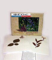 Гербарий "Дикорастущие растения" (28 видов) - fgospostavki.ru - Ялуторовск