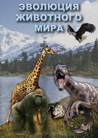 DVD "Эволюция животного мира" - fgospostavki.ru - Ялуторовск