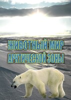 DVD "Животный мир Арктической зоны" - fgospostavki.ru - Ялуторовск