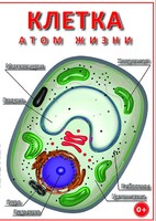 DVD "Клетка - "атом жизни" - fgospostavki.ru - Ялуторовск