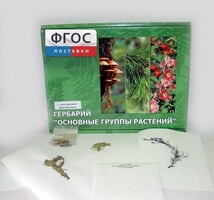 Гербарий "Основные группы растений" (52 листа) - fgospostavki.ru - Ялуторовск