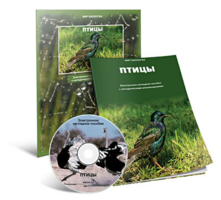Электронное наглядное пособие «Птицы» - fgospostavki.ru - Ялуторовск