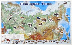 Магнитные карточки "Животные" - fgospostavki.ru - Ялуторовск