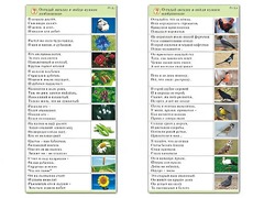 Комплект карточек (10) "Обучающий калейдоскоп. Природа" - fgospostavki.ru - Ялуторовск