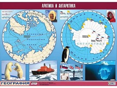 Таблица демонстрационная "Арктика и Антарктика" (винил 100*140) - fgospostavki.ru - Ялуторовск