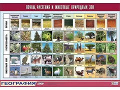 Таблица демонстрационная "Почвы, растения и животные природных зон" (винил 100*140) - fgospostavki.ru - Ялуторовск