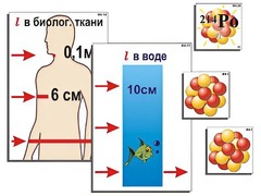 Модель-аппликация "Явление радиоактивности" (ламинированная) - fgospostavki.ru - Ялуторовск