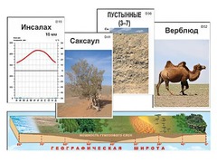 Модель-аппликация "Природные зоны" - fgospostavki.ru - Ялуторовск
