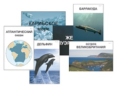 Модель-аппликация "Океаны. Знакомство" (ламинированная) - fgospostavki.ru - Ялуторовск