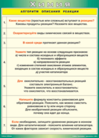 Таблица "Алгоритм описания реакции" (100х140 сантиметров, винил) - fgospostavki.ru - Ялуторовск