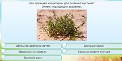 Интерактивные курсы. Окружающий мир 3 класс . Базовый. - fgospostavki.ru - Ялуторовск