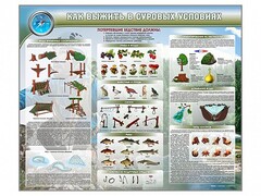 Стенд "Как выжить в суровых условиях" - fgospostavki.ru - Ялуторовск