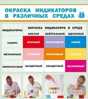 Стенд "Окраска индикаторов в различных средах" - fgospostavki.ru - Ялуторовск