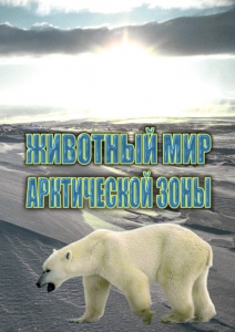 DVD "Животный мир Арктической зоны" - fgospostavki.ru - Ялуторовск