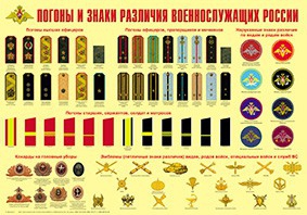 Плакат "Погоны и знаки различия военнослужащих России" - fgospostavki.ru - Ялуторовск