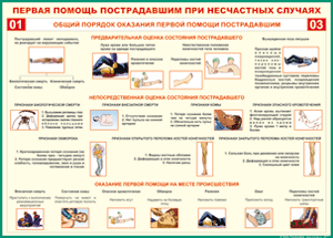 Таблица "Общий порядок оказания первой помощи пострадавшим" (100х140 сантиметров, винил) - fgospostavki.ru - Ялуторовск