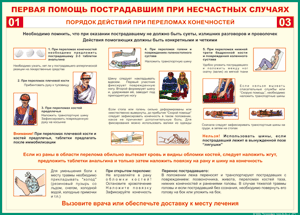 Таблица "Порядок действий при переломах конечностей" (100х140 сантиметров, винил) - fgospostavki.ru - Ялуторовск