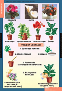 Комплект таблиц. Окружающий мир 1 класс. - fgospostavki.ru - Ялуторовск