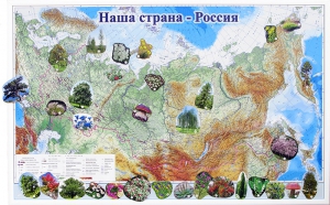 Магнитные карточки "Растения" - fgospostavki.ru - Ялуторовск