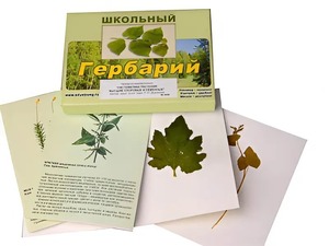 Гербарий "Систематика растений. Высшие споровые и семенные" (раздаточный) - fgospostavki.ru - Ялуторовск